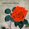 What does the color red mean spiritually