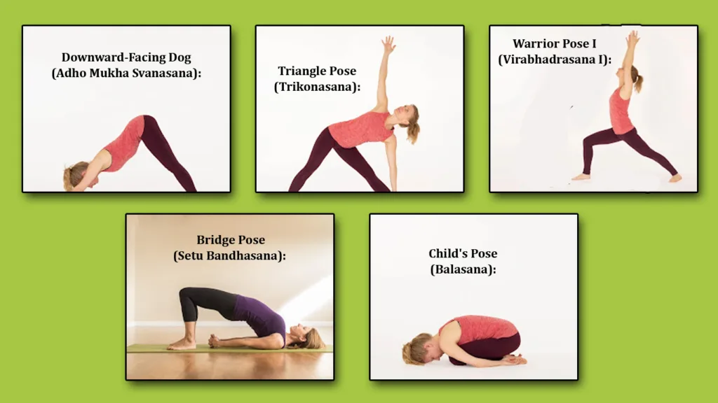 what are the difference between yoga and meditation