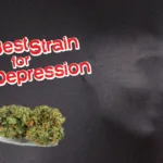 Best strains for depression