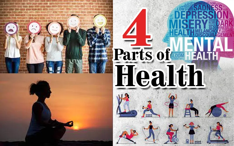 4 parts of health