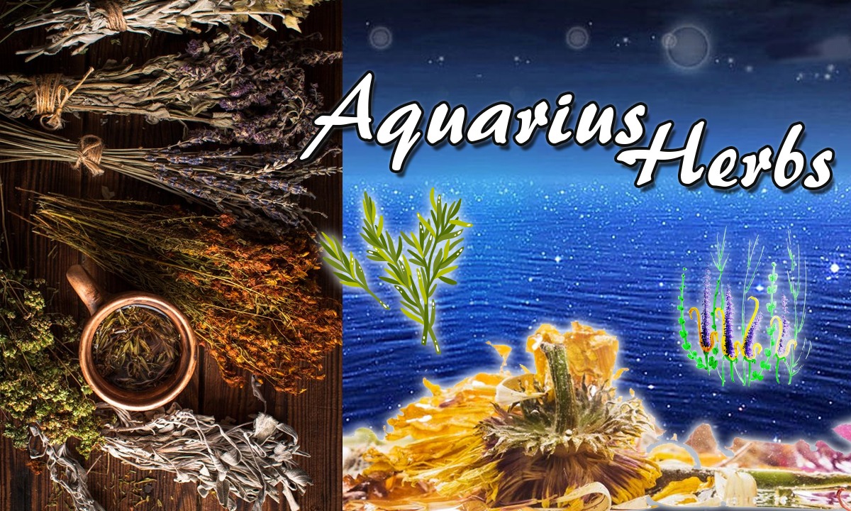 Aquarius herbs